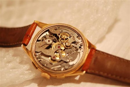 DSC_7805 (Large) (Small).JPG