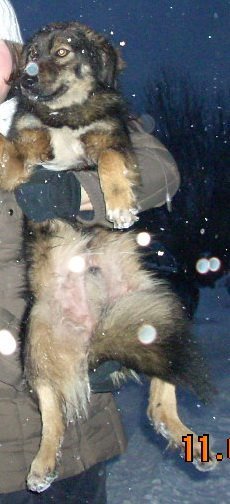 423601_2665954977423_1520721938_n.jpg 423601_2665954977423_1520721938_n.jpg