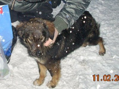 423796_2665953577388_1090625284_n.jpg 423796_2665953577388_1090625284_n.jpg