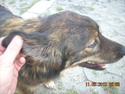 DSCN0020.jpg DSCN0020.jpg