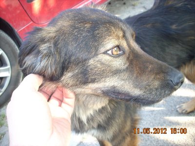 DSCN0026.jpg DSCN0026.jpg