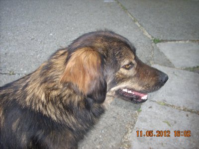 DSCN0032.jpg DSCN0032.jpg