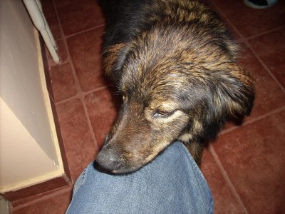 DSCN0068.jpg DSCN0068.jpg