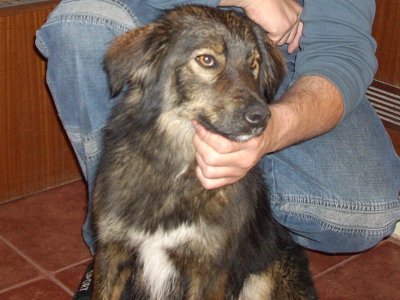 DSCN0073.jpg DSCN0073.jpg