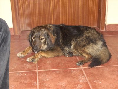 DSCN0076.jpg DSCN0076.jpg