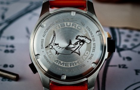 tiburon_watch_hammerhead_016.jpg