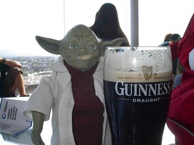 yoda-drinking-guinness-thumb.jpg