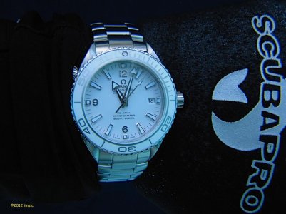 White PO underwater.jpg