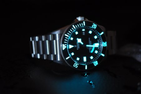 Tudor - foto by Svet Satova.JPG