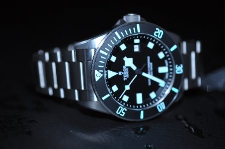 Tudor 3 - foto by Svet Satova.JPG