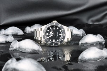 Tudor Pelagos 25500TN - 1.JPG