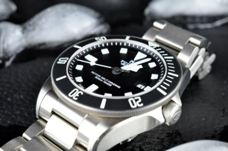 Tudor Pelagos 25500TN - 2.JPG