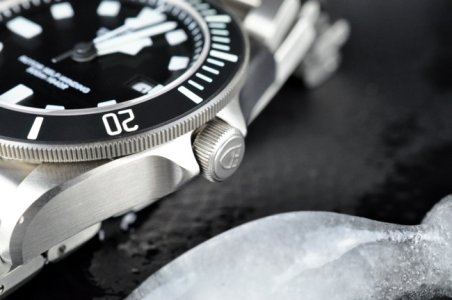 Tudor Pelagos 25500TN - 3.JPG