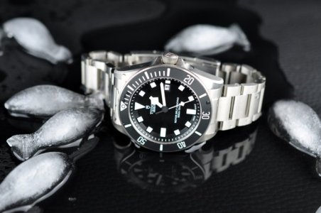 Tudor Pelagos 25500TN - 8.JPG