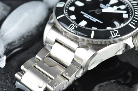 Tudor Pelagos 25500TN - 9.JPG