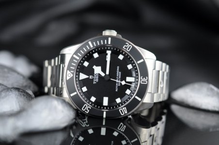 Tudor Pelagos 25500TN - 10.JPG