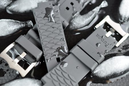 Tudor Pelagos 25500TN - 11.JPG