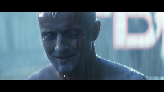 BladeRunner_6_TearsInTheRain.JPG