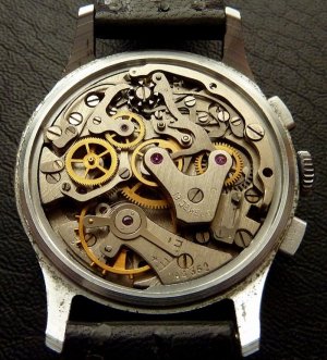 1 3017 .,..jpg 1 3017 .,..jpg