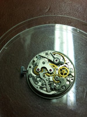 IMG_0393.jpg IMG_0393.jpg