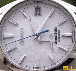 Seiko IMG_7738-1.jpg