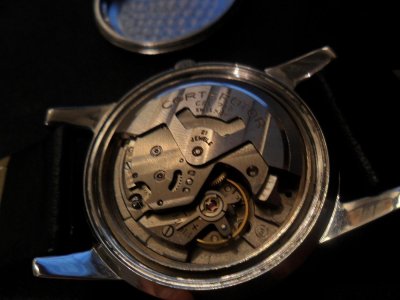 Cort 4.jpg Cort 4.jpg