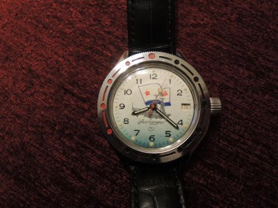 Amfibija Albatros DSCN6735 (Medium).JPG