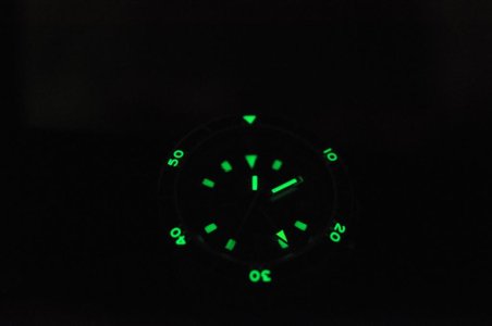 1DSC_0142 (Large).JPG