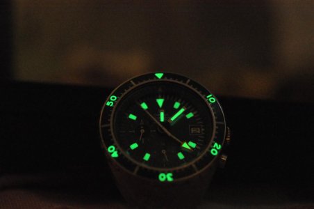 2DSC_0125 (Large).JPG