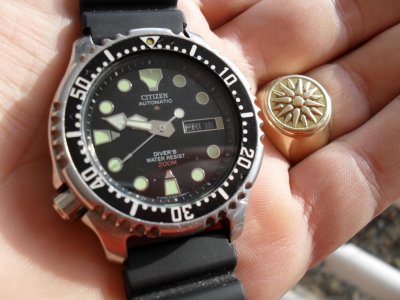 SDC13445.jpg SDC13445.jpg