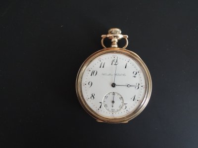 4 Hamilton 1 DSCN6809.JPG