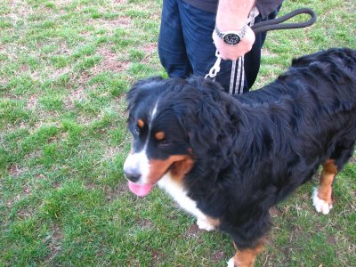 slajko isampion 163.jpg