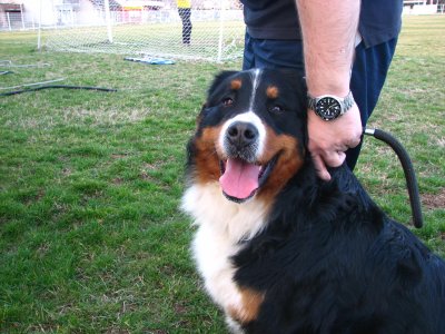 slajko isampion 161.jpg