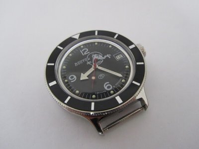 vostok_amphibia_pic09.jpg vostok_amphibia_pic09.jpg