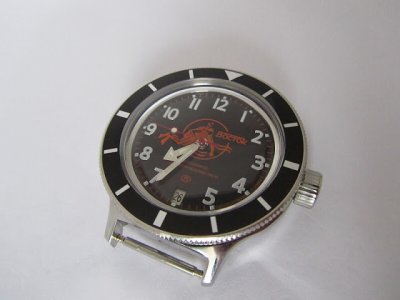 vostok_amphibia_pic11.jpg vostok_amphibia_pic11.jpg
