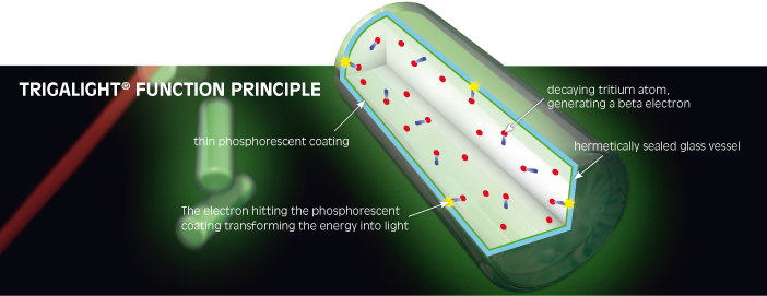 tricijumska cevcica.png