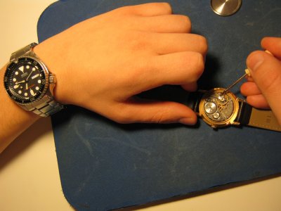 IMG_1845.JPG IMG_1845.JPG