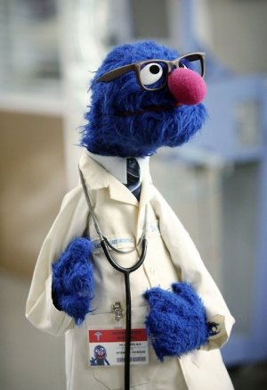 blue-cute-doctor-dr-grover-funny-sesame-street-Favim.com-69472.jpg
