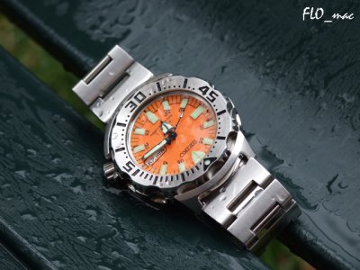 seiko nar.jpg seiko nar.jpg