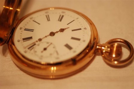 DSC_8612 (Medium).JPG