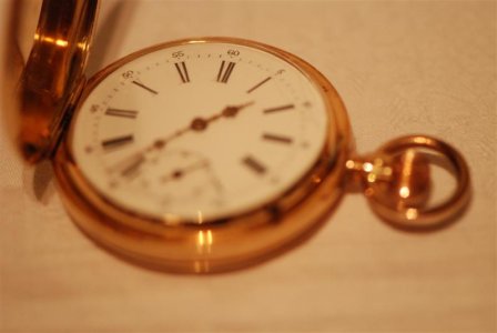 DSC_8613 (Medium).JPG