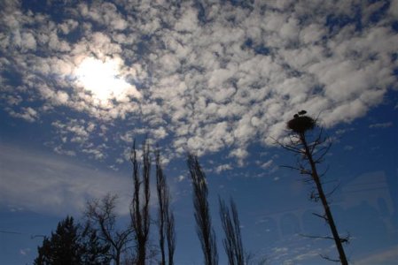 DSC_3207 (Small).JPG