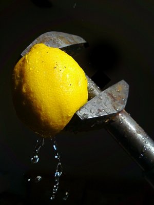 DSC04729.5 [800x600].JPG