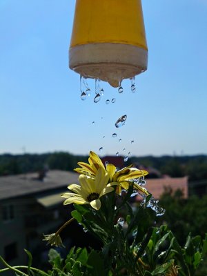 DSC04657.1 [800x600].JPG