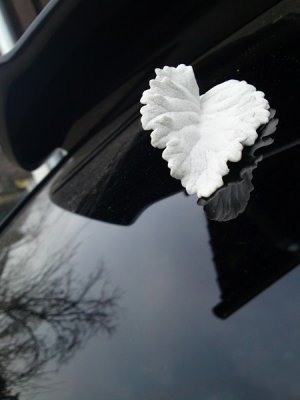 DSC00276 [800x600].JPG