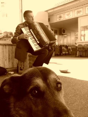 DSC02330 [800x600-desktop].JPG