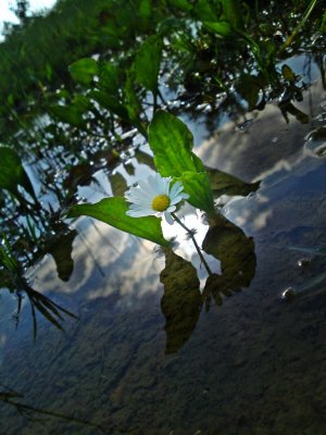 DSC04192.1 [Rezolucija ekrana].JPG