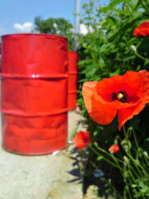 DSC04196.1 [Rezolucija ekrana].JPG