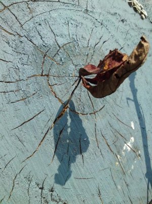 DSC00530 [Rezolucija ekrana].jpg