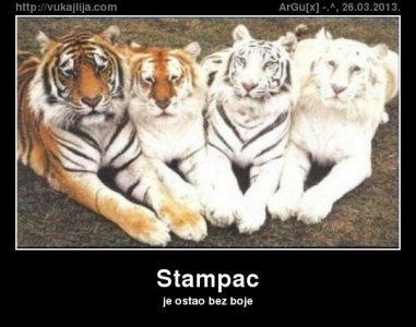 stampac.jpg stampac.jpg